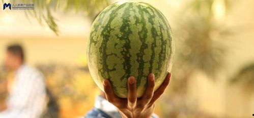 2021娱乐圈吃瓜不断